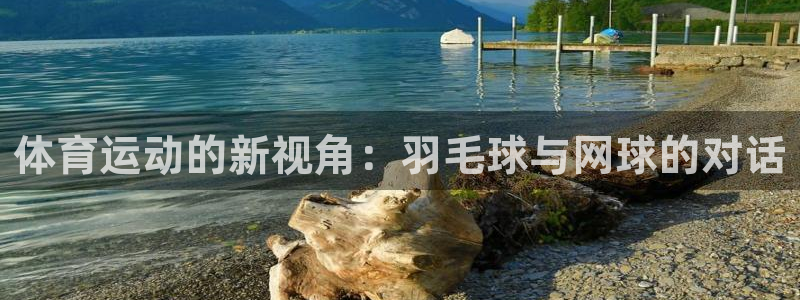 三亿体育
