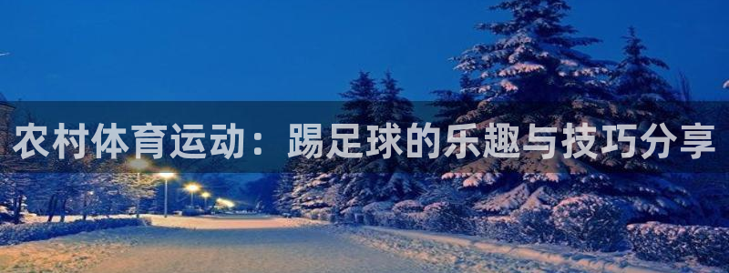 三亿体育网