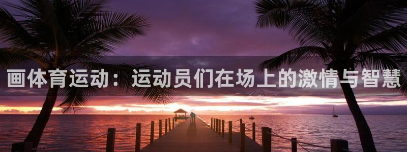 三亿体育