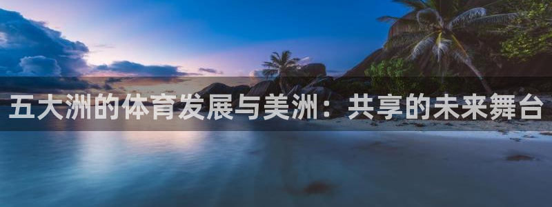 三亿体育
