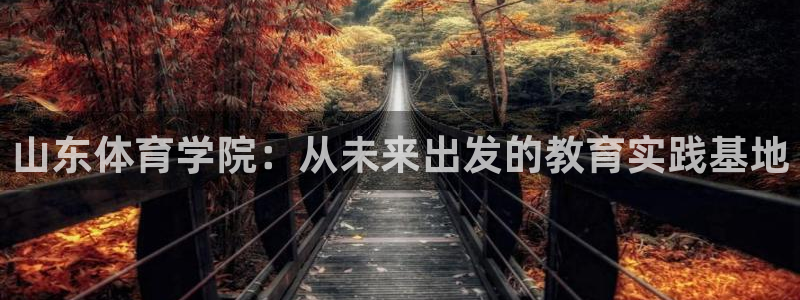 三亿体育网