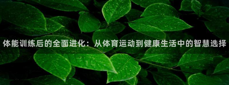 三亿体育网