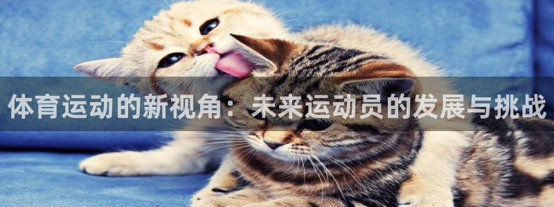 三亿体育网