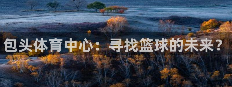 三亿体育网