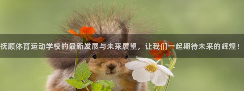 三亿体育网