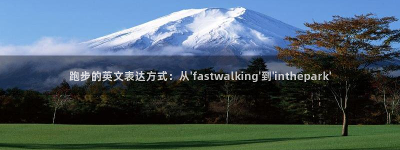 三亿体育网页版
