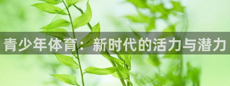 三亿体育网页版